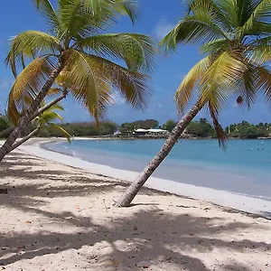 Little Paradise Appartement Sainte-Anne